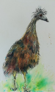 CD, Emu, Brusho.jpg